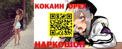 трава Сланцы