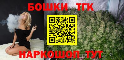 трава Сланцы