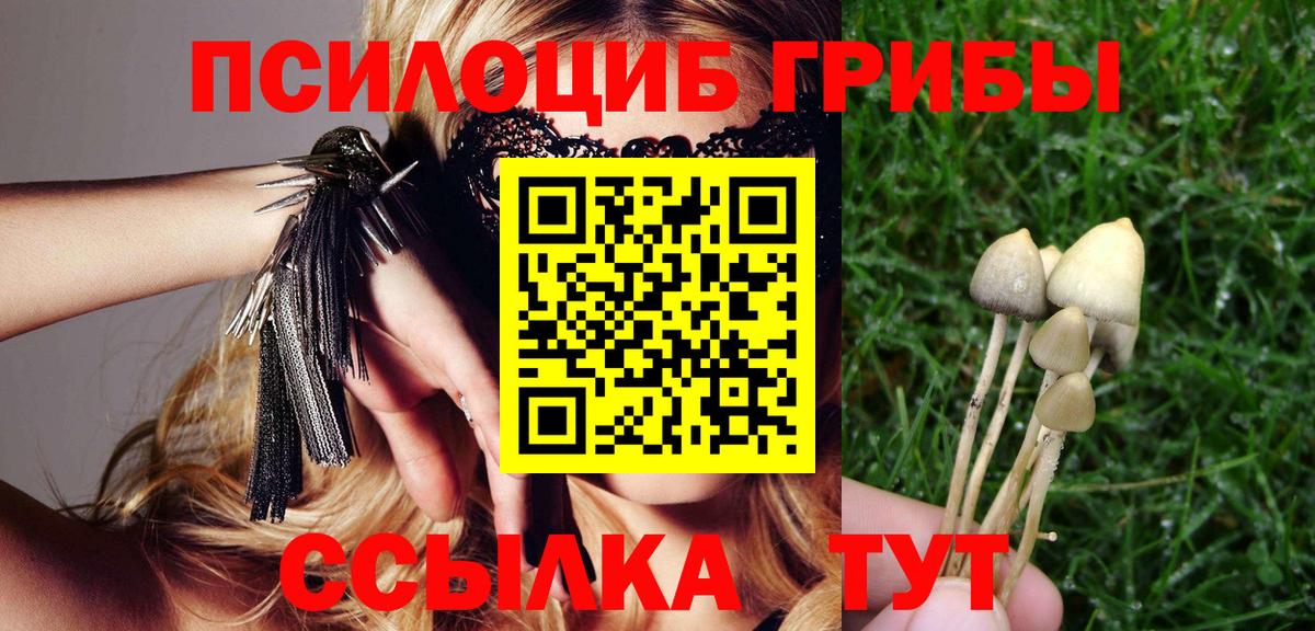 Галлюциногенные грибы MAGIC MUSHROOMS  Вход с VPN  Семёнов 